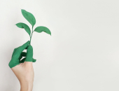 Būvniekiem  obligāti jāpiemēro zaļā iepirkuma kritēriji trešās grupas ēkām 