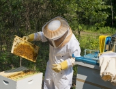 Precizēta valsts atbalsta saņemšanas kārtība dravniekiem 