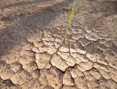 Preču eksportā vērojama zināma stagnācija un pesimisms