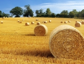 LAD sāk pieņemt pieteikumus lauku attīstības LEADER aktivitātēm