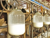 Top jauni noteikumi veterinārām, higiēnas un nekaitīguma prasībām svaigpiena apritē