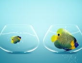 Cik lielam jābūt pamatkapitālam?