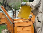 Biškopjiem turpmāk mēnesi agrāk būs jāiesniedz pārskats LAD