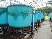 Akvakultūras uzņēmumu konkurētspējas paaugstināšanai būs pieejami 10 miljoni eiro