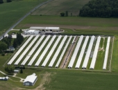 Gandrīz 2000 Lietuvas saimniecību gada beigās samazinās piena ražošanu