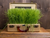 Latvijā ir perspektīvas ekotūrisma attīstībai