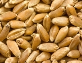 Latvijā ražoto graudaugu pārslu zīmols "Milzu!" par 40% audzē apgrozījumu