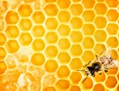 Sagatavoti grozījumi Darba likumā