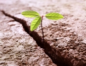 Stājas spēkā jaunuzņēmumu atbalsta programmu pieteikšanas un administrēšanas kārtība