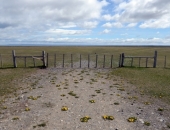 Bioloģiskajiem lauksaimniekiem par katru atbalstam pieteikto hektāru būs jāgūst noteikti ieņēmumi