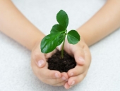 Galvinieka atbildība fiziskās personas maksātnespējas procesā