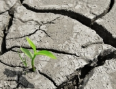 Atbalsta programmas un nodokļu atvieglojumi jaunuzņēmumiem