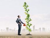 Pamatkapitāla palielināšana ar mantisko ieguldījumu SIA