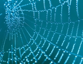 Satversmes tiesa pievienojas Eiropas Savienības Tiesas informācijas apmaiņas tīklam