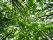 Izveidots  palīgs Zaļā iepirkuma  īstenošanai