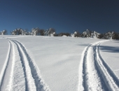 Iepirkumu rīkotāji var visātrāk pamanīt karteļu pazīmes