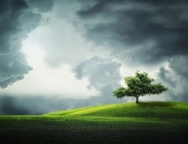 Strīdu par platību maksājumiem skatīs no jauna