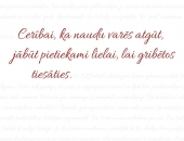 Iznācis “iTiesības” novembra drukātais žurnāls