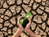 Zemes īpašnieki varēs apvienot vienotā īpašumā būves ar nenoskaidrotu piederību