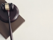 Nodod jaunai izskatīšanai lietu par svešas mantas izkrāpšanas mēģinājumu