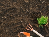 Tiesa atstāj spēkā Konkurences padomes lēmumu par karteli meliorācijas nozarē