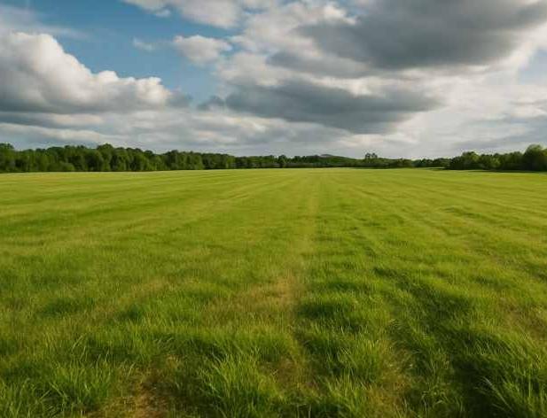 Apvieno lietas par zemes kadastrālās vērtēšanas kārtību