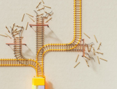 Plašāks autortiesību apjoms tiks aizsargāts tīmekļvietnēs