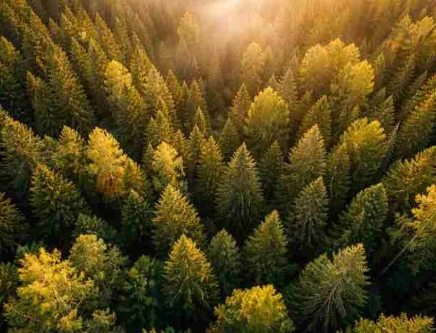 Nodokļu atvieglojumi SEZ – līdz 2050.gadam