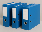 Reorganizēs Maksātnespējas kontroles dienestu