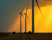 Vērtēs iespējamu nevienlīdzīgu attieksmi valsts meža zemju piešķiršanā