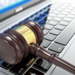 Atbalsta pāreju uz parādnieku nekustamo īpašumu izsolīšanu elektroniskā vidē