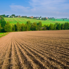 EK sāk procedūru pret Latviju par ierobežojumiem ārzemniekiem zemes iegādē