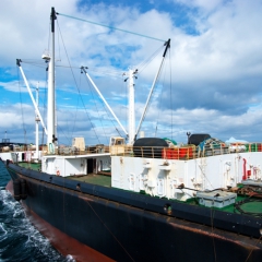 Pirmajā ceturksnī Latvijas zivju produktu eksports uz Krieviju samazinās par 36,9%