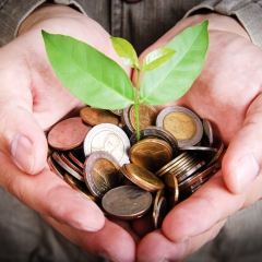 Zivsaimnieki varēs pieteikties atbalstam jaunu tirgu apgūšanai