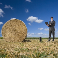 No augusta vidus LAD pieņems projektu pieteikumus atbalstam jaunajiem lauksaimniekiem