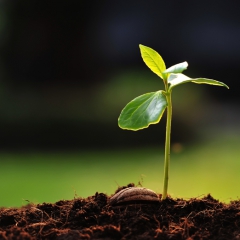 Latvija ir uzņēmējdarbībai 22.labvēlīgākā valsts pasaulē