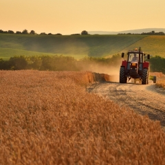 Plāno ieviest sodu par lauksaimniecības zemes neizmantošanu