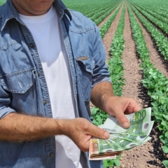 LAD nākamnedēļ sāks pieņemt pieteikumus platību maksājumiem
