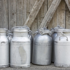 Piena ražotāju zaudējumi pieaug, arī cūkgaļas nozarē situācija ir smaga