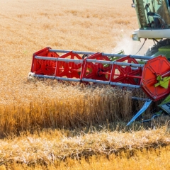 Zemās graudu cenas šogad kompensēs minerālmēslu cenu kritums