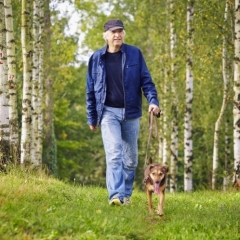 Lielajiem un mazajiem meža īpašniekiem būs līdzvērtīgas iespējas saņemt ES atbalstu