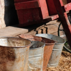 MK jau drīzumā lems par papildu vienreizēja atbalsta piešķiršanu piena ražotājiem