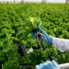 Zemkopības ministrija plāno ļaut PVD sodīt 