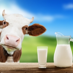 Svaigpiena ražotāji saņems papildu valsts atbalstu