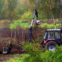 Mežu īpašniekus aicina pieteikties ES fondu atbalstam meža atjaunošanai un kopšanai
