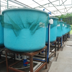 Akvakultūras uzņēmumu konkurētspējas paaugstināšanai būs pieejami 10 miljoni eiro