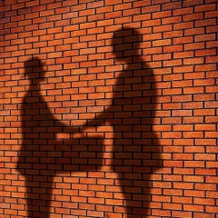 Apstiprina darba plānu ēnu ekonomikas ierobežošanai 2016. – 2020.gadam