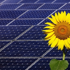 Atbalsta iekšējas peļņas normas noteikšanu elektrības ražotājiem, kas izmanto AER