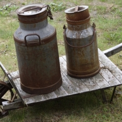 Zemniekiem kompensācijās plānots maksāt 140 eiro par tonnu nepiegādātā piena