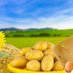 Paplašina bioloģiskās produkcijas izplatīšanas iespējas